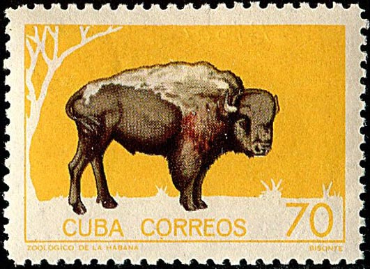 America stamps. Cuba, 1964 - Bisons on stamps